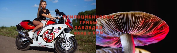 прущая мука Армянск