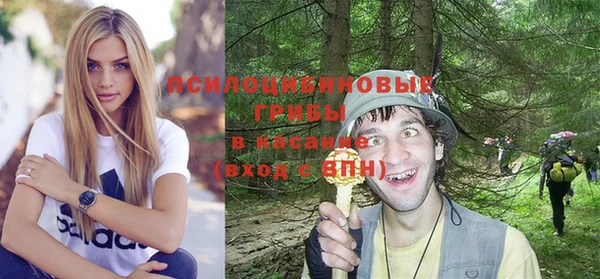 ALPHA PVP Арсеньев