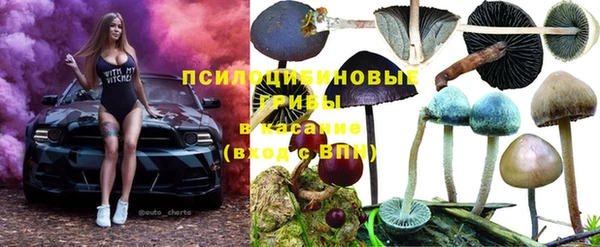 ALPHA PVP Арсеньев