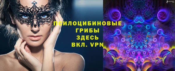 MESCALINE Аркадак